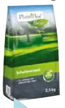 Hellweg Plantiflor Schattenrasen Angebot