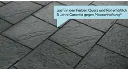 Hellweg Terrassenplatte No. 1 Structure Angebot