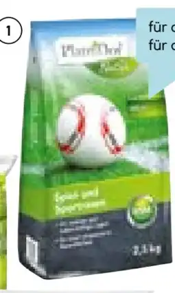 Hellweg Plantiflor Spiel-Sportrasen Angebot