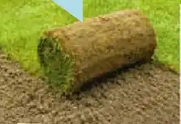 Hellweg Rollrasen Angebot