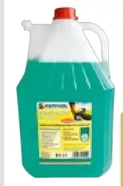 Hellweg Kernol Scheibenklar Sommer Angebot