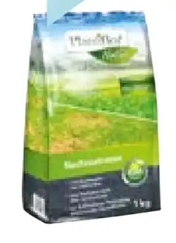 Hellweg Plantiflor Nachsaatrasen Angebot