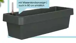 Hellweg Blumenkasten Viva Angebot