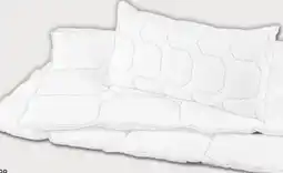 PENNY f.a.n. Bettwaren Angebot