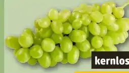 REWE Tafeltrauben Angebot
