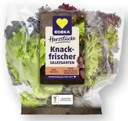 Scheck-in-Center Edeka Herzstücke Blattsalat-Mix Angebot