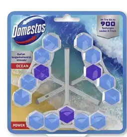 Scheck-in-Center Domestos WC Stein Power 5 Ocean XXL Angebot