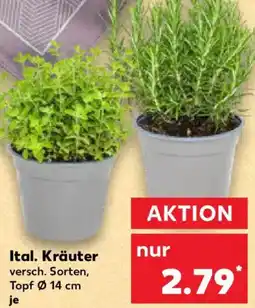Kaufland Ital. Kräuter Angebot