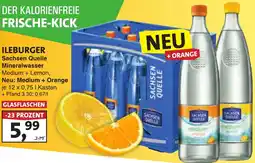 Lösch Depot ILEBURGER Sachsen Quelle Mineralwasser Angebot