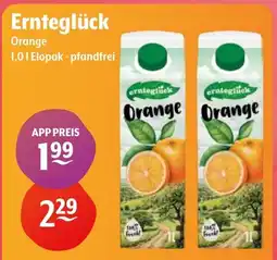 Getränke Hoffmann Ernteglück Orange Angebot
