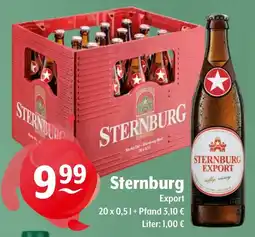 Getränke Hoffmann Sternburg Export Angebot