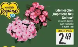 Edeka Edellieschen 'Impatiens Neu Guinea' Angebot