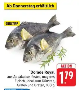 Edeka Dorade Royal Angebot