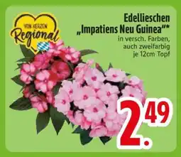 Edeka Edellieschen 'Impatiens Neu Guinea' Angebot