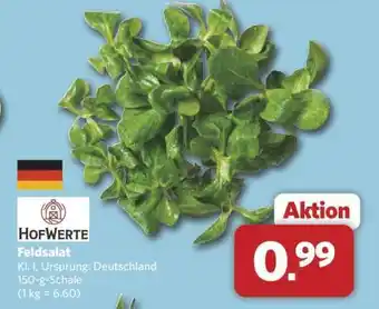 Combi Feldsalat Angebot