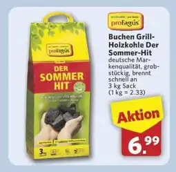 Combi Buchen Grill-Holzkohle Der Sommer-Hit Angebot