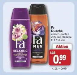 Combi Fa Dusche Angebot