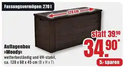 B1 Discount Baumarkt Auflagenbox >>Woody<< Angebot
