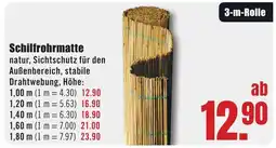 B1 Discount Baumarkt Schilfrohrmatte Angebot