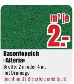 B1 Discount Baumarkt Rasenteppich >>Alteria<< Angebot
