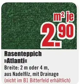 B1 Discount Baumarkt Rasenteppich >>Atlanti«< Angebot