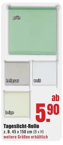 B1 Discount Baumarkt Tageslicht-Rollo Angebot
