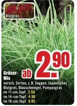B1 Discount Baumarkt Gräser- Mix Angebot