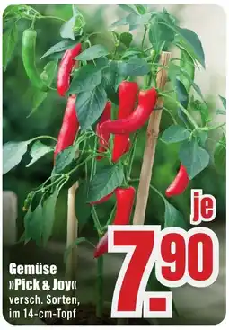 B1 Discount Baumarkt Gemüse >>Pick & Joy<< Angebot