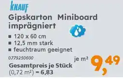 Globus Baumarkt KNAUF Gipskarton Miniboard imprägniert Angebot