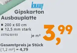 Globus Baumarkt KNAUF Gipskarton Ausbauplatte Angebot