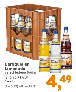 Globus Baumarkt Bergquellen Limonade Angebot