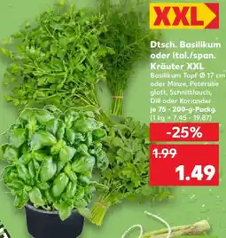 Kaufland Dtsch. Basilikum oder ital./span. Kräuter XXL Angebot