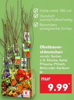 Kaufland Obstbaum stämmchen Angebot