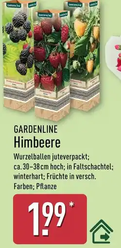 Aldi Nord GARDENLINE Himbeere Angebot