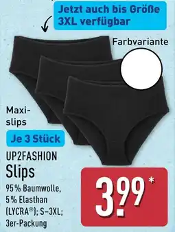 Aldi Nord UP2FASHION Slips Angebot