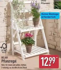 Aldi Nord BELAVI Pflanzregal Angebot