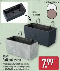 Aldi Nord BELAVI Balkonkasten Angebot