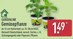 Aldi Nord GARDENLINE Gemüsepflanze Angebot