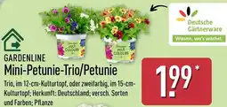 Aldi Nord GARDENLINE Mini-Petunie-Trio/Petunie Angebot