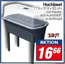 CENTERSHOP Hochbeet Angebot