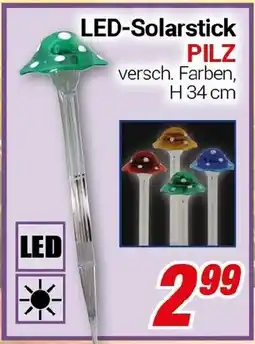 CENTERSHOP LED-Solarstick PILZ Angebot