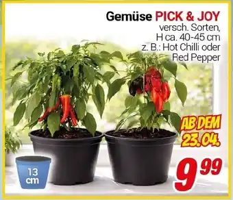 CENTERSHOP Gemüse PICK & JOY Angebot