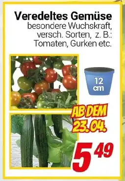 CENTERSHOP Veredeltes Gemüse Angebot