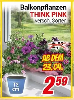 CENTERSHOP Balkonpflanzen THINK PINK Angebot