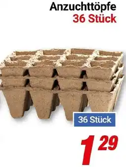 CENTERSHOP Anzuchttöpfe Angebot