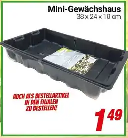 CENTERSHOP Mini-Gewächshaus Angebot
