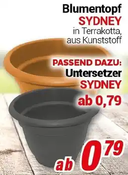 CENTERSHOP Blumentopf SYDNEY Angebot