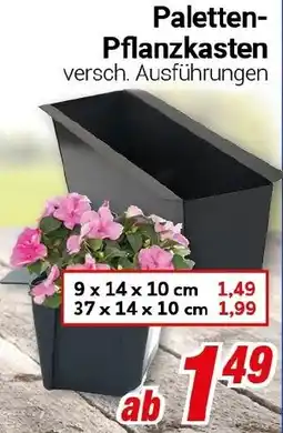 CENTERSHOP Paletten Pflanzkasten Angebot