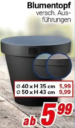 CENTERSHOP Blumentopf Angebot