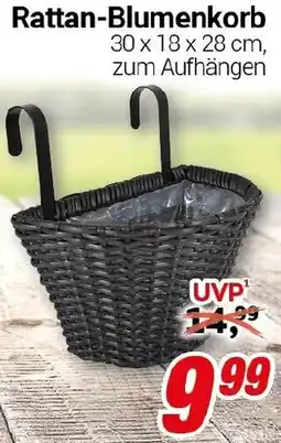 CENTERSHOP Rattan-Blumenkorb Angebot